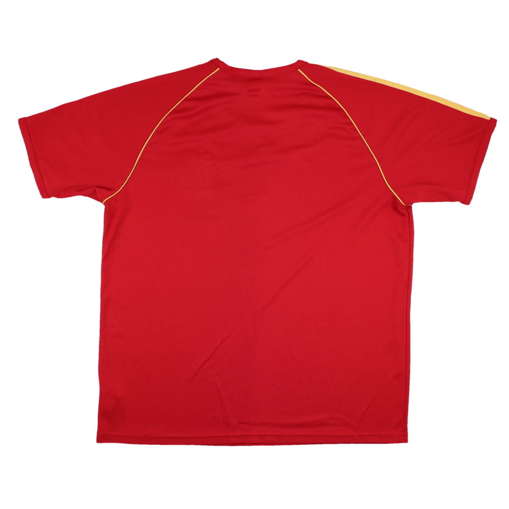 Spain 2010-11 Adidas Training T-Shirt (L) (Excellent)_1