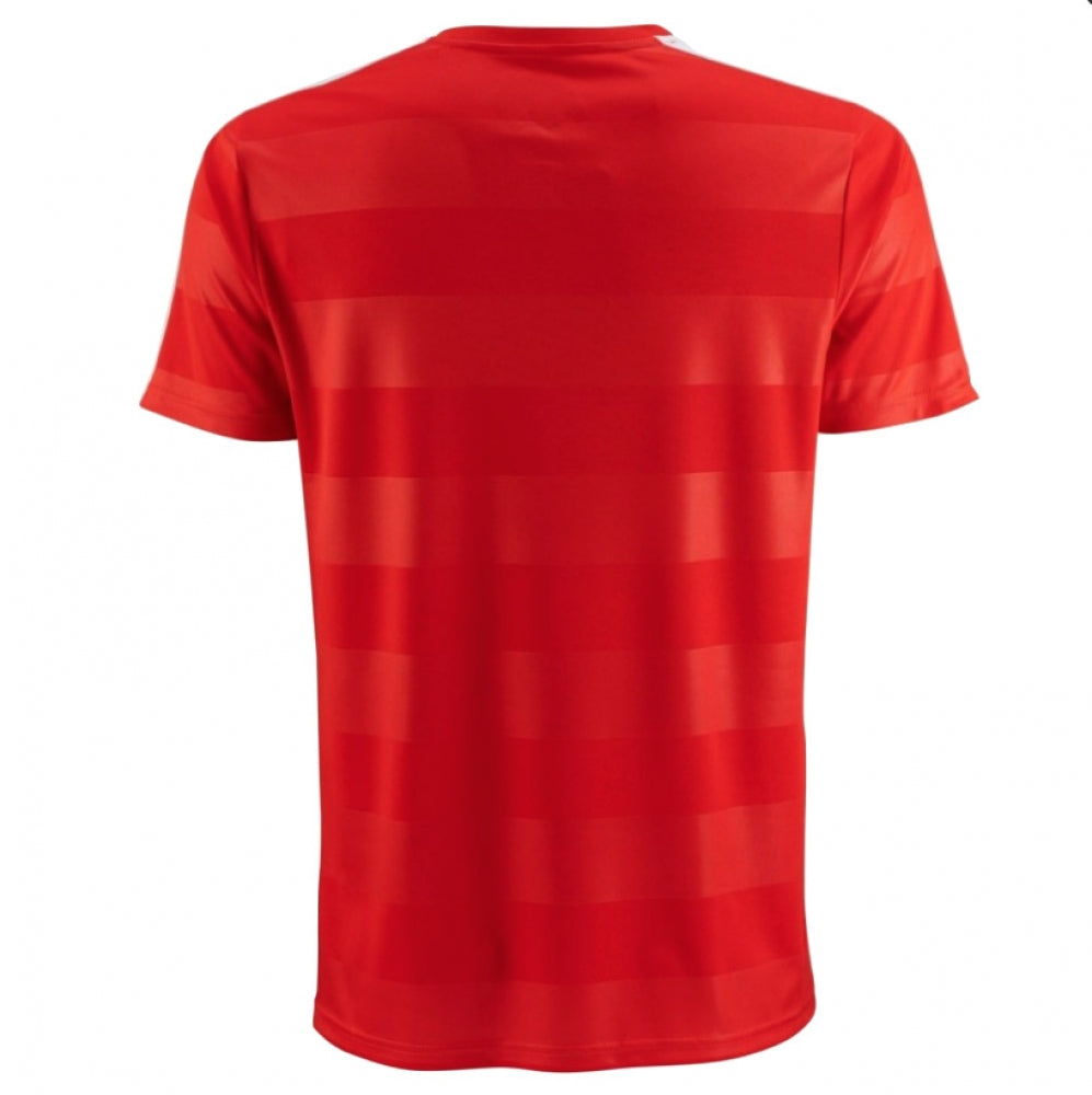 Switzerland 2016-17 Home Shirt (Excellent)_1