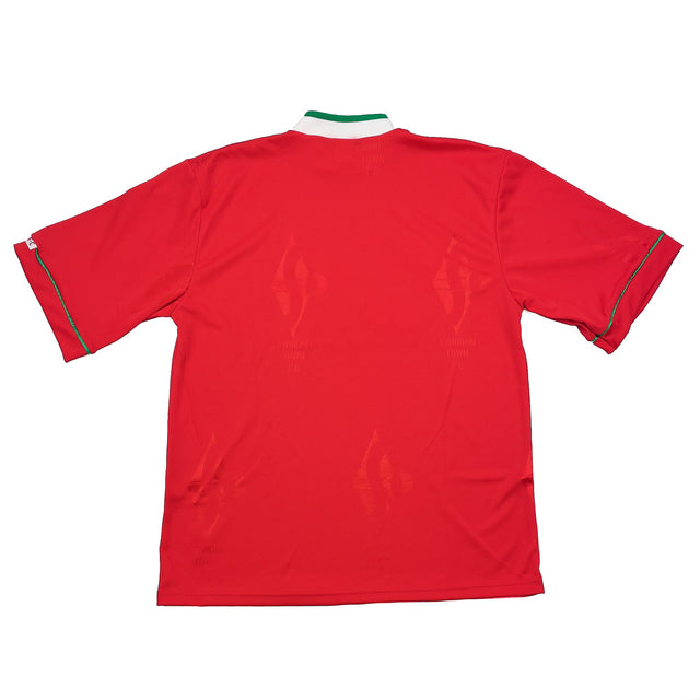 CULT KITS - 1995/97 SWINDON TOWN *MINT* HOME SHIRT (L) MIZUNO