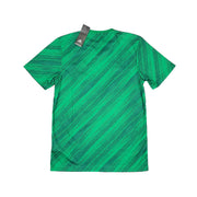 2020/21 Nordirland *Neu mit Etikett* Heimtrikot (M) Adidas
