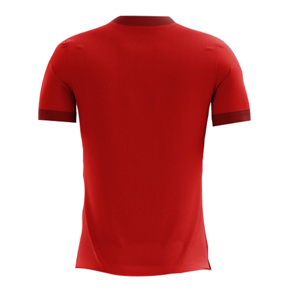 2023-2024 Egypt Home Concept Football Shirt (Kids)_1
