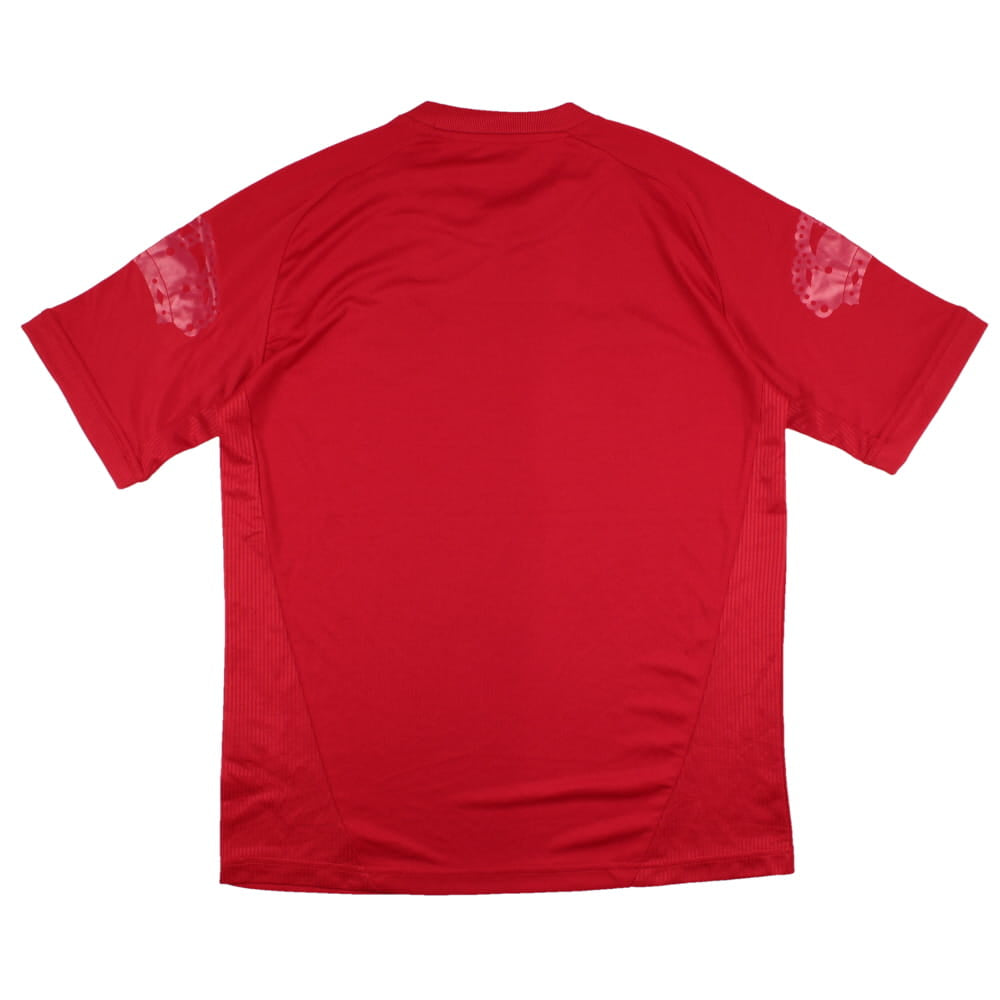 Sharjah FC 2010-11 Away Shirt (M) (Mint)_1