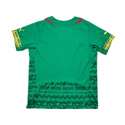 2014/16 Kamerun Heimtrikot (L) Puma