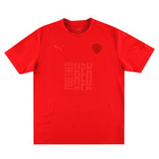 2022-23 Barnsley Puma Redout Trikot L