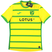 2023-24 Norwich City Joma Heimtrikot *NEU MIT ETIKETT* L