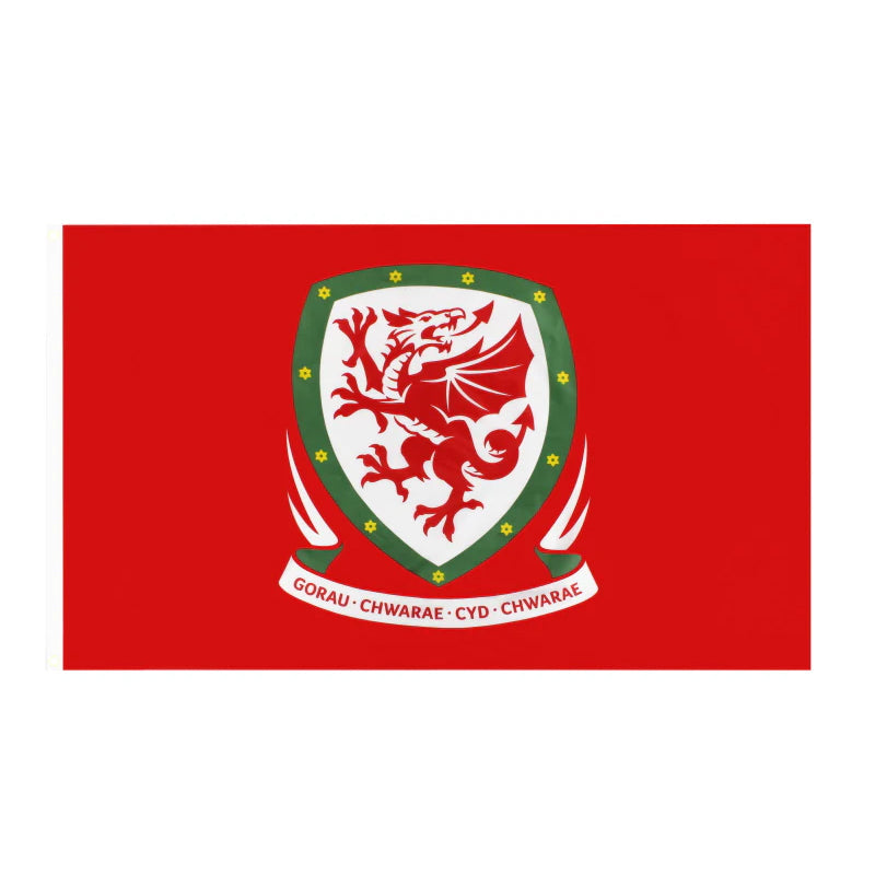 2016/17 Wales FA EM Große Flagge *BNIB* L