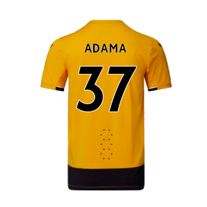 Wolves 2022-23 Pro Home Shirt (Sponsorless) (XXL) (Mint) (ADAMA 37)_1