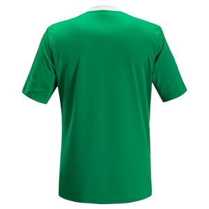 Saint Etienne 2013-14 Home Shirt (M) (Excellent)_1