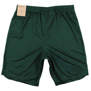 2022-2023 Nigeria Home Shorts (Green)_1