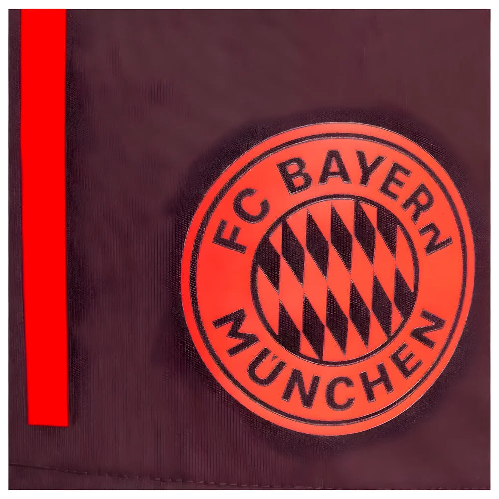 2024-2025 Bayern Munich Training Shorts (Shadow Maroon)_1