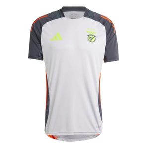 2024-2025 Benfica Training Jersey (Grey)_0