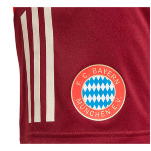 2024-2025 Bayern Munich EU Training Shorts (Shadow Red)_1