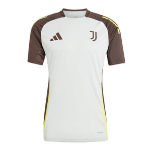 2024-2025 Juventus EU Training Jersey (Silver)_0