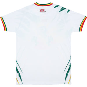 Mali 2023-24 Home Shirt (L) (BNWT)_1