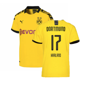 Borussia Dortmund 2019-20 Home Shirt (L) (Excellent) (Haaland 17)_0