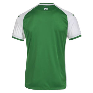 2022-2023 Hibernian Home Shirt_1