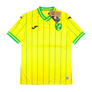 Norwich 2022-2023 Home Shirt - Sponsorless (XXL) (Mint)_0